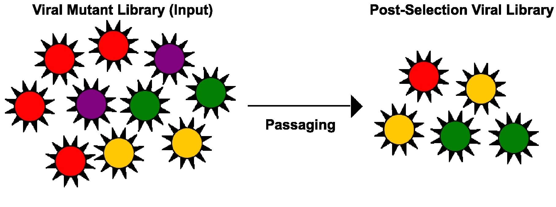 Fig1-1